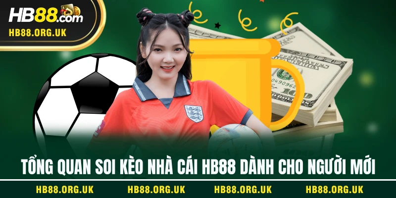 Tổng quan soi kèo nhà cái HB88 dành cho người mới